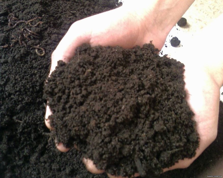 Чернозем перегной