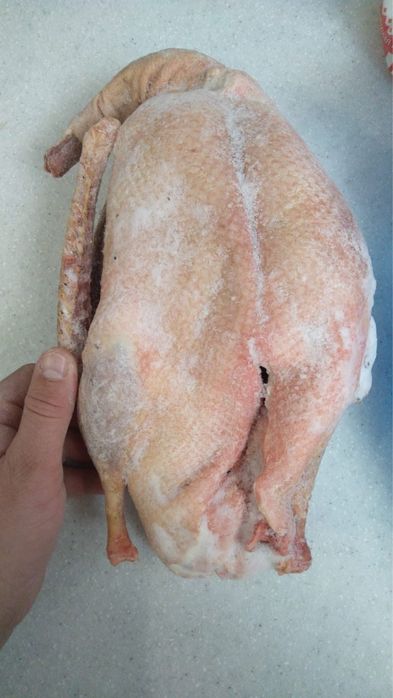 Дикий гусь тушка