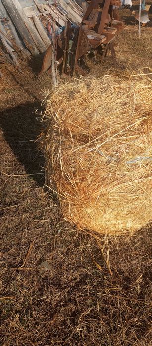 Vînd baloți dreptunghiulari