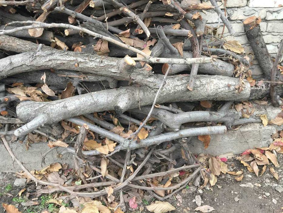 дрова из фруктовых деревьев-черешня,вишня,слива,орех  в объеме 2 куба