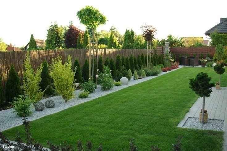 Plante ornamentale diferite specii tuia brazii,magnoli,gazon,si montam