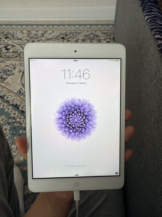 Ipad mini 1 поколение