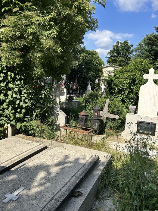 Locuri de veci biserica iancu nou ,Balaneanu