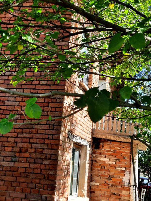 Продавам къща с голям парцел в с. Нивянин