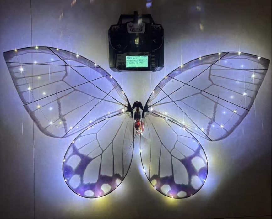 Хит бабочка 2026