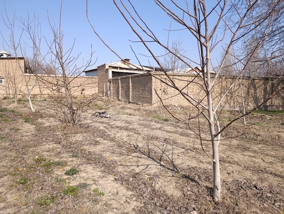 17 sotikli noturar maydon