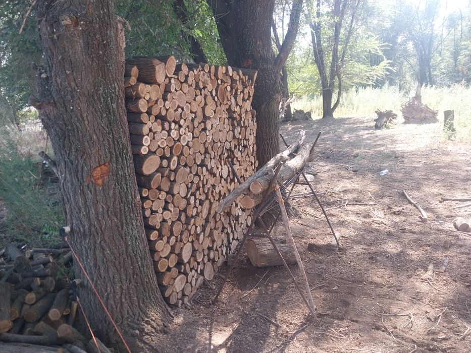 Продаю Дрова (карагач, цельные чурки)