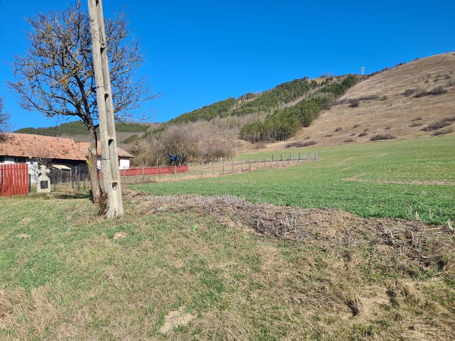 Teren intravilan Caianu  4500  mp.