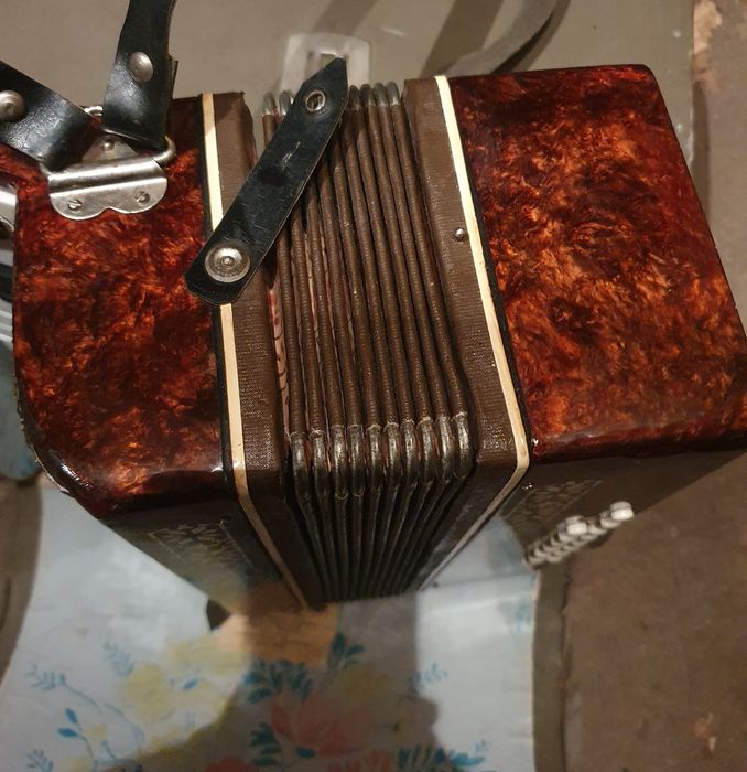 Детски акордеон мальш със кутия малиш