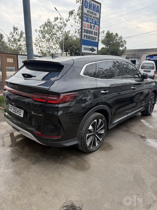 Byd champion restyle