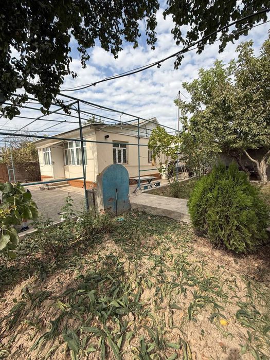 Продается своя дача паркент