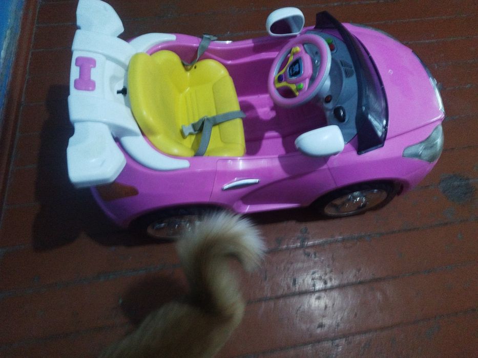 Продаю детскую машинку б/у.