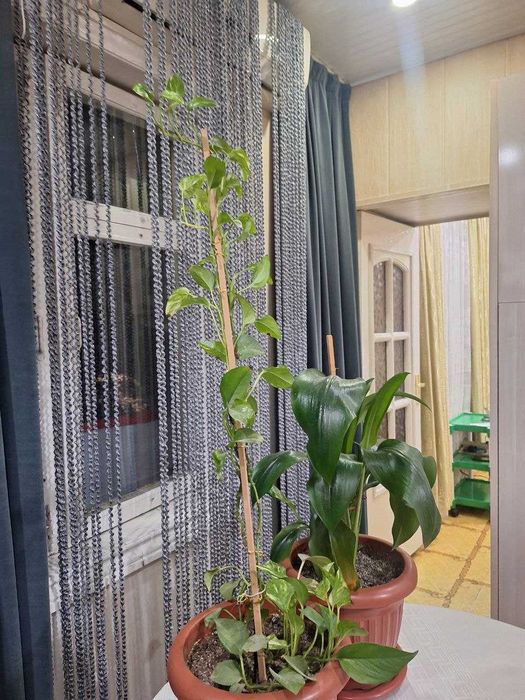 Срочно 4/5/5 Карасу-1/ Дунё