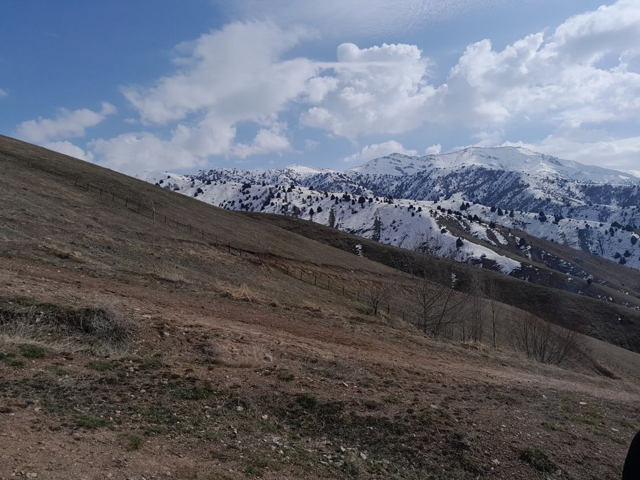 Продаётся 130 соток (аэропорт)