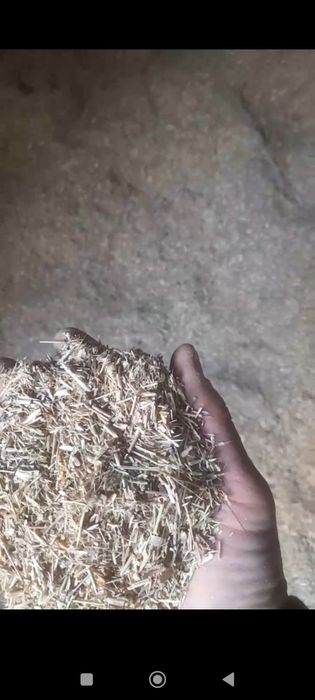 Beda va yantoq sotiladi...