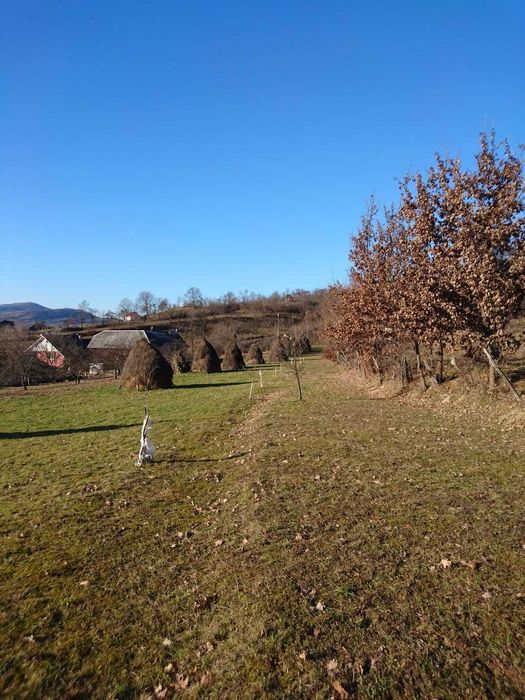 Teren de vinzare Nasaud