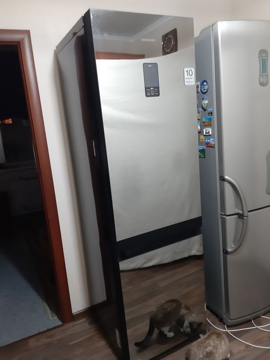 Холодильник Samsung RL55TTE2A