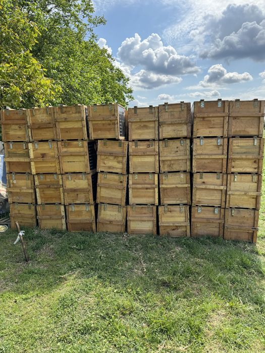 Военни дървени сандъци за пчелни кошери.