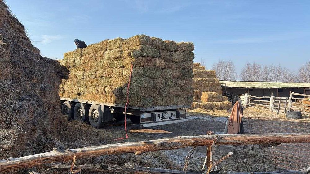 продам сено тюки