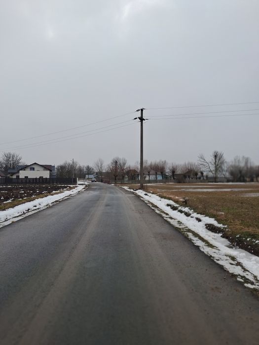 Vand loc de casă in Zvoristea 36 ari