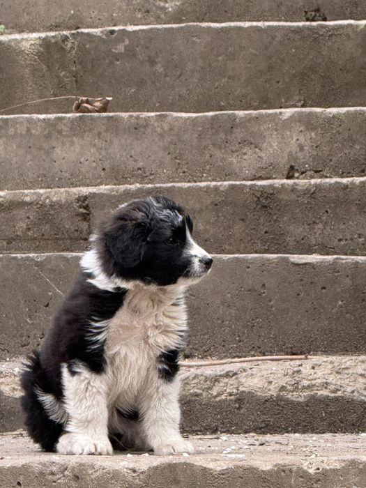 Малышка все еще ищет семью