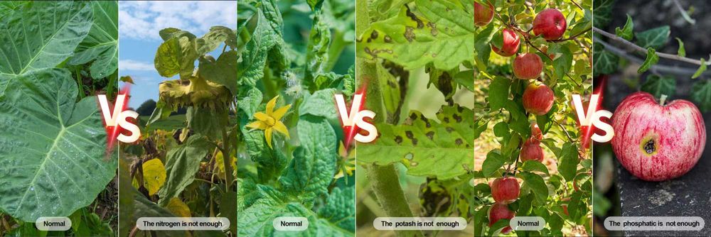 Tester de Sol 4-în-1 cu Afișaj Digital: N, P, K, temperatura Nou!