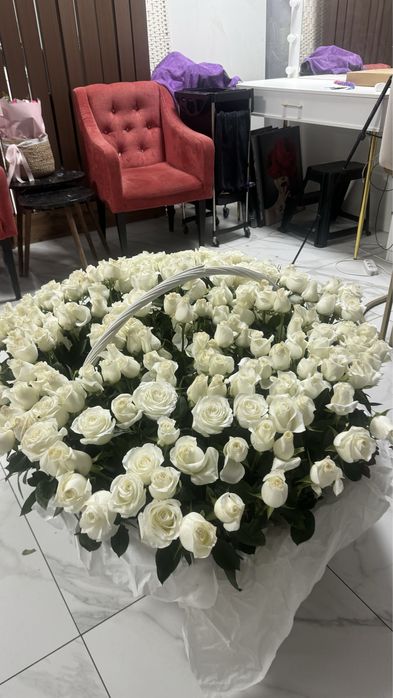 Белые розы 201 б, срочноооо. В подарок дадим краасивые розовые розы ,
