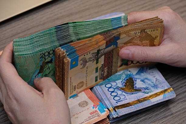 В продаже ТОО с фин устойчивостью, СГД 162 млн, ПУН - 13%.