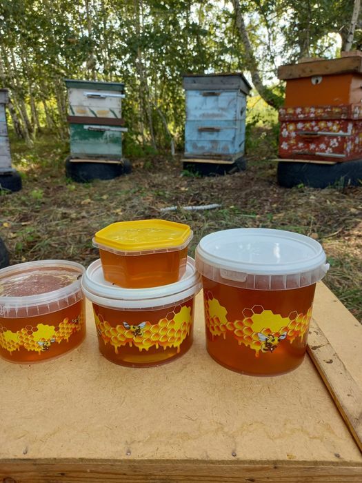 Продам Мёд свежий