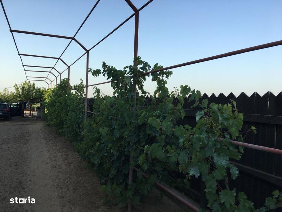 Casa spatioasa 184 mp de vanzare – Sadova, Dolj