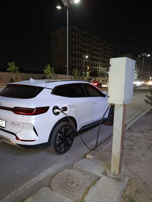 L6,7,8,9 Byd Chempion Chazor Yuan up Honji Lepmotor Depal S 7 Tesla