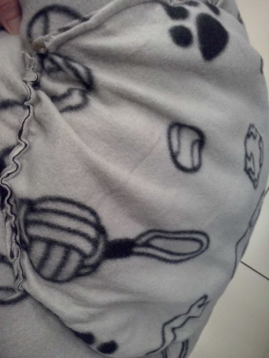 Pat caine, pisica, Nou - Brasov