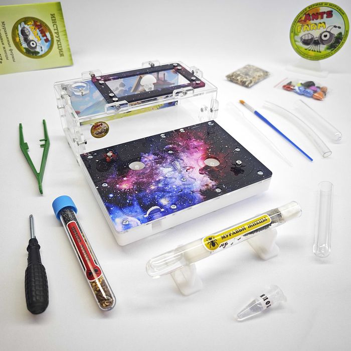 Муравьиная ферма - Муравьи жнецы ||| ГИПСОВЫЙ Формикарий "PREMIUM"