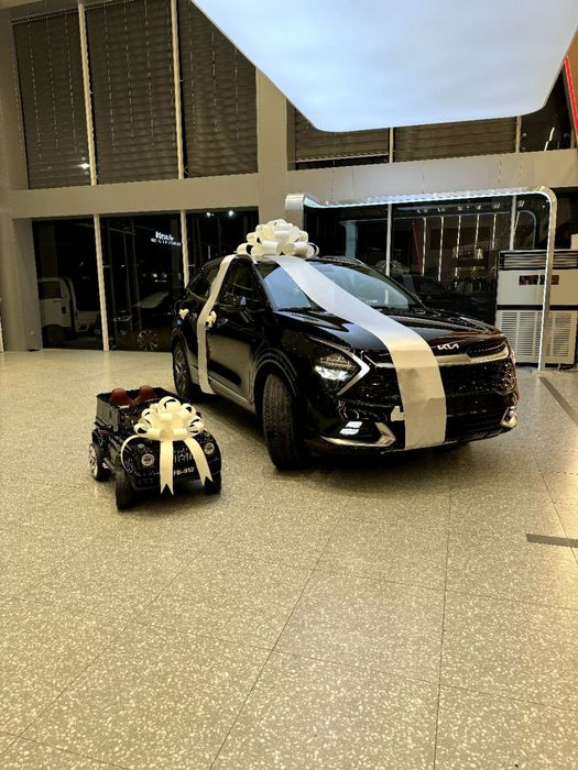 Мошина автога бантик, лента Сергели Индекс