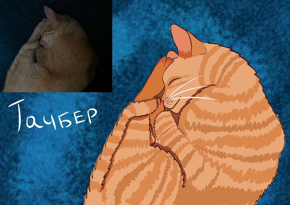 Рисунок питомца по фото