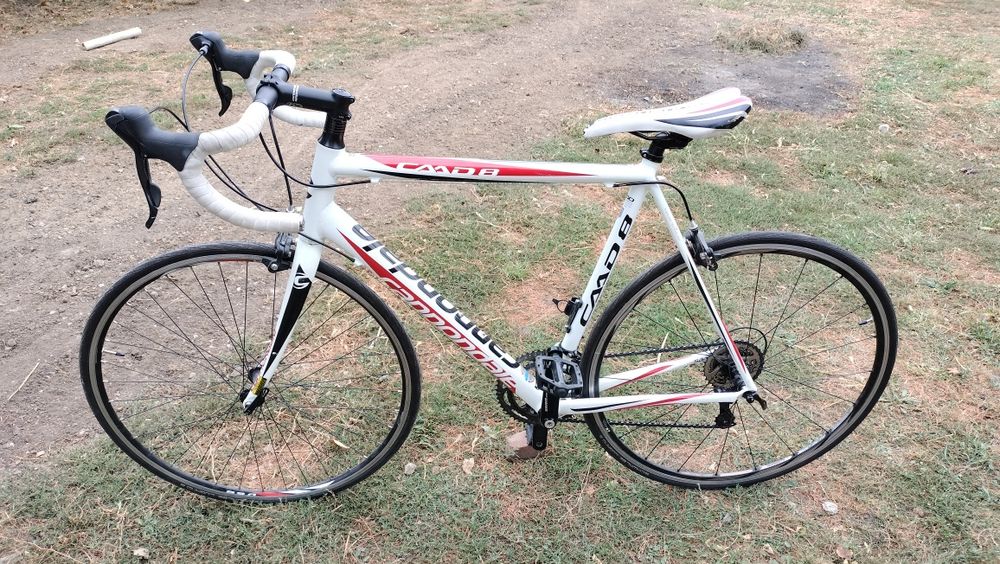 Cursiera Cannondale CAAD8