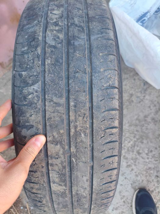 Продам авто шины