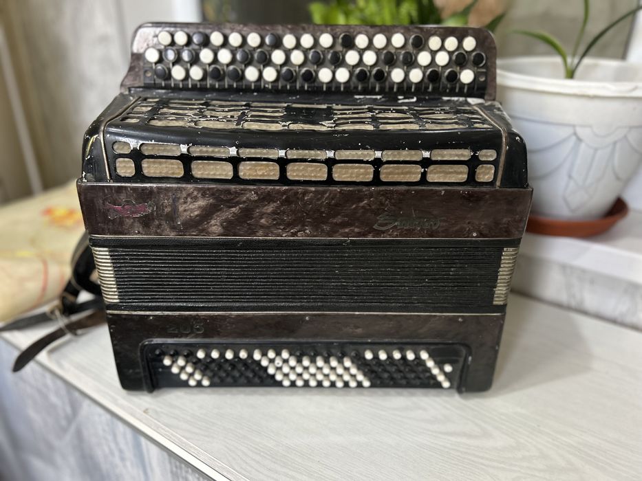 Баян аспабы сатылады.