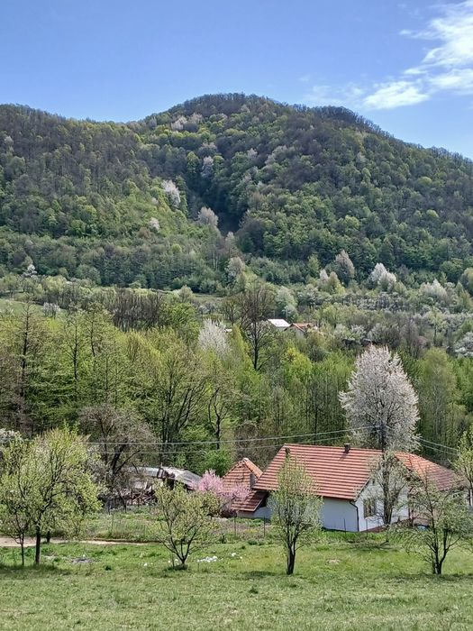 Casă la munte cu pârâu în curte,în localitatea  Nojag.la 18 km.de DEVA