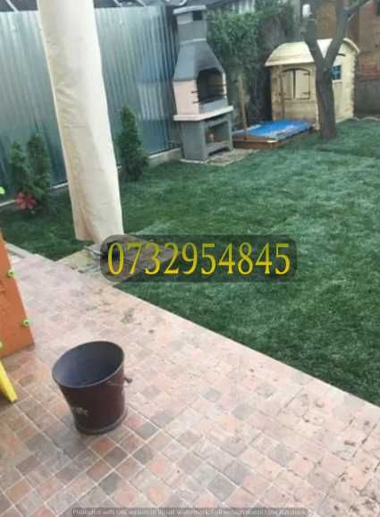 Montaj Gazon Rulou – Transformă-ți Curtea în 24h