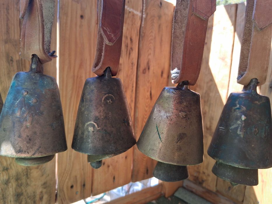 Чанове, Чан, Звънци