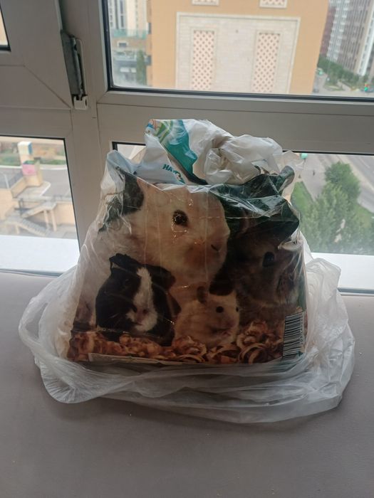 Сосновая струшка