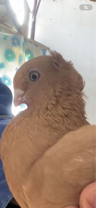 Молодеж летно игровых глубей!