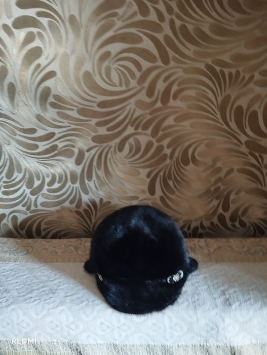 Шапка женский норковая