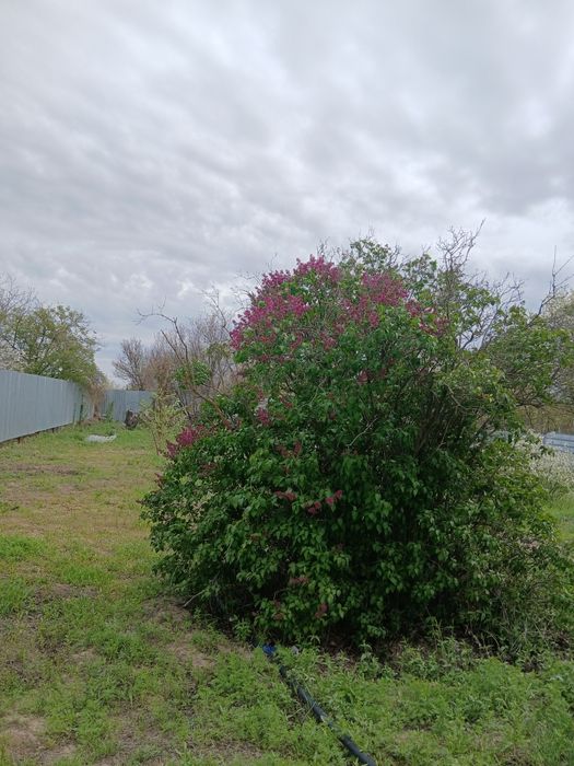 Таскаладан  времянка сатылады  24 кв.м.