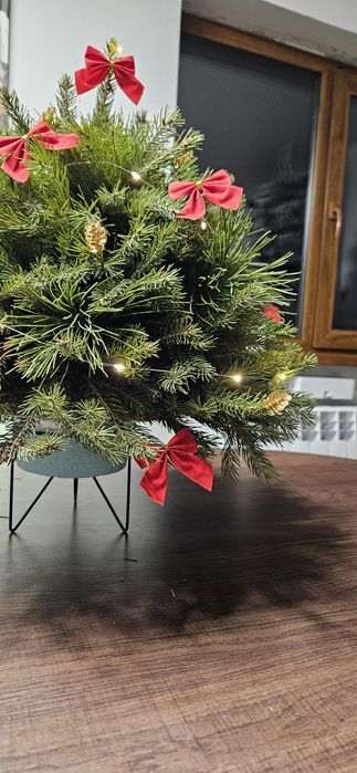 Продам ёлочку натуральную.