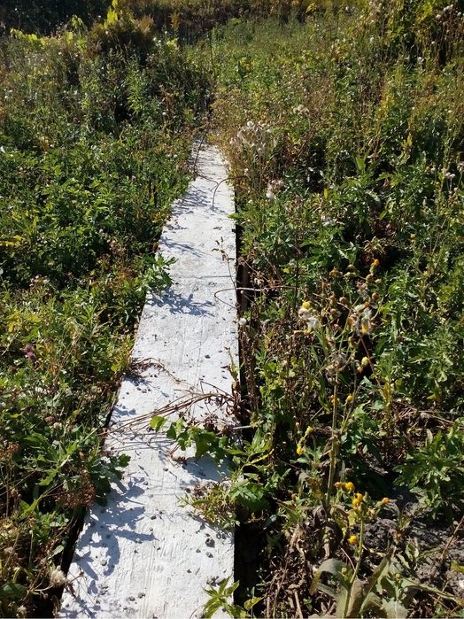 Продам дачу Метталург-3