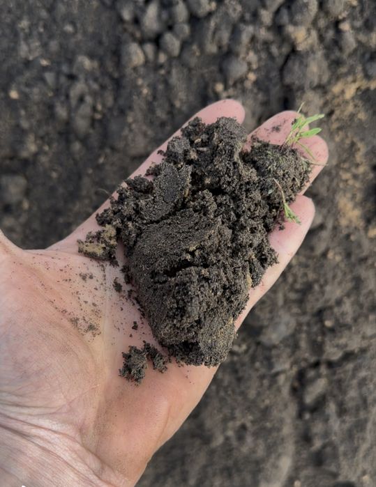 Земля плодородная, чернозем в огород!