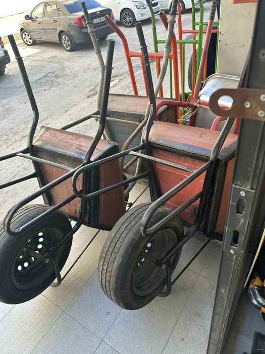 Телешка разный Арава Arava