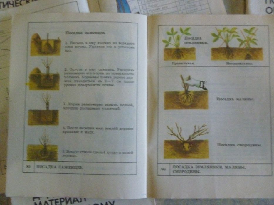 Продам. Очень интересное, увлекательное и познавательное пособие .